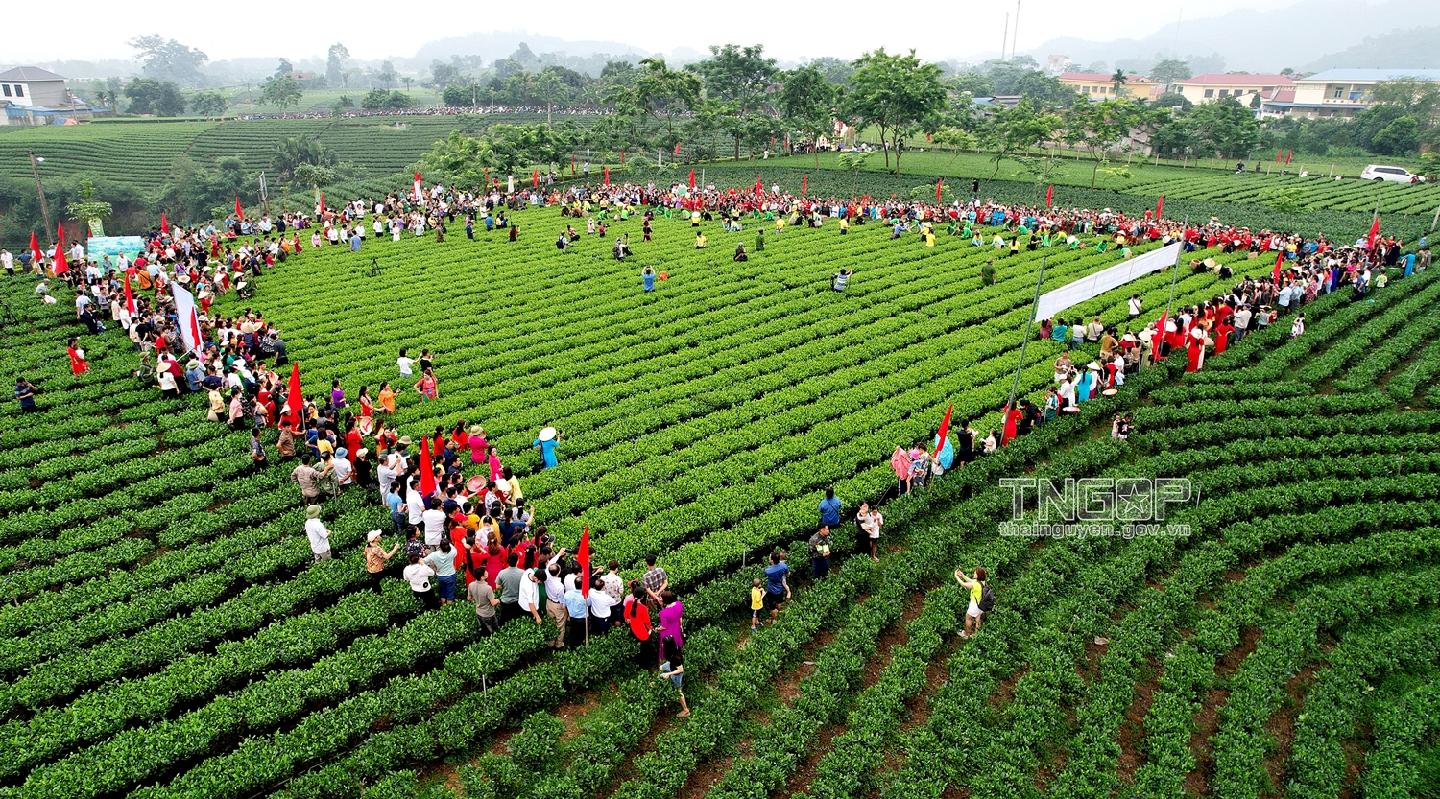 Bản tình ca đất và người Thái Nguyên